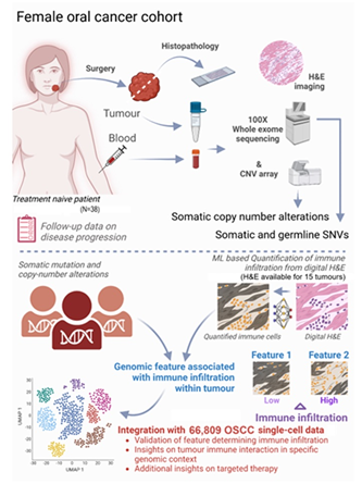 Sequencing of Patients` Gene